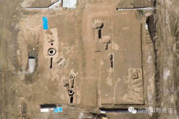 历城区赵家庄墓地的发掘——2015年山东省田野考古成果（十三）