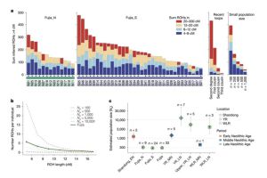 闪电新闻丨世界首次！我国科学家确证存在史前母系社会组织，广饶傅家遗址刷新母系社会遗传学线索溯源