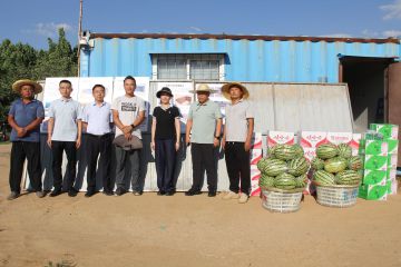 滕州市文化和旅游局调研慰问我院考古发掘工地