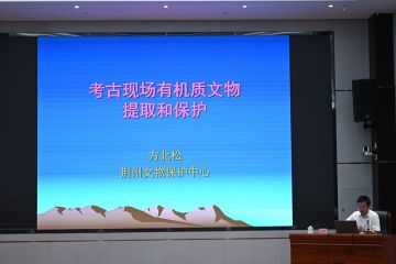 2025年山东出土文物保护技术研修班讲座纪要（四）