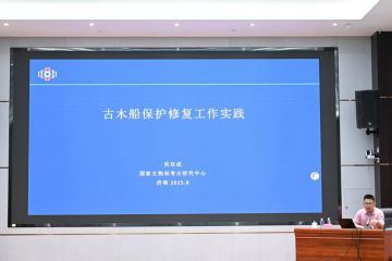 2025年山东出土文物保护技术研修班讲座纪要（五）
