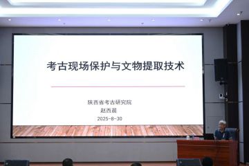 2025年山东出土文物保护技术研修班讲座纪要（六）